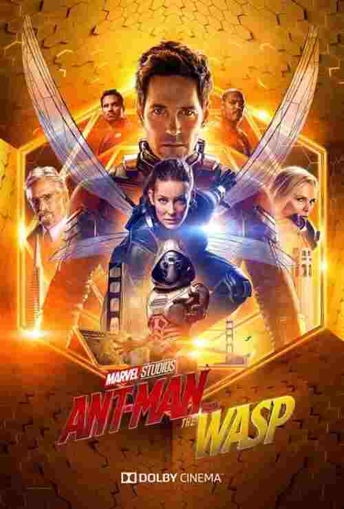 Watch Ant-Man and the Wasp Quantumania (2023) Online Full Movie Free